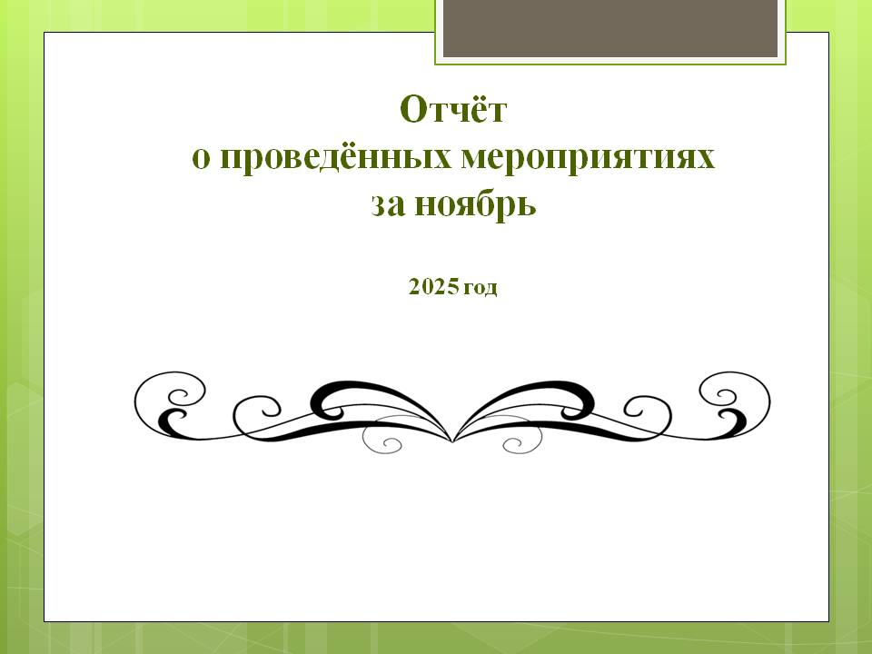 Отчёт о проведённых  мероприятиях за ноябрь.
